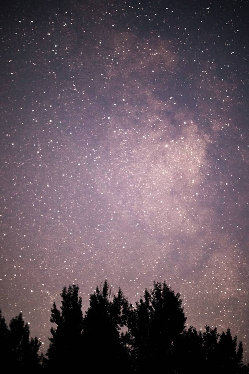 the night sky is filled with stars and trees