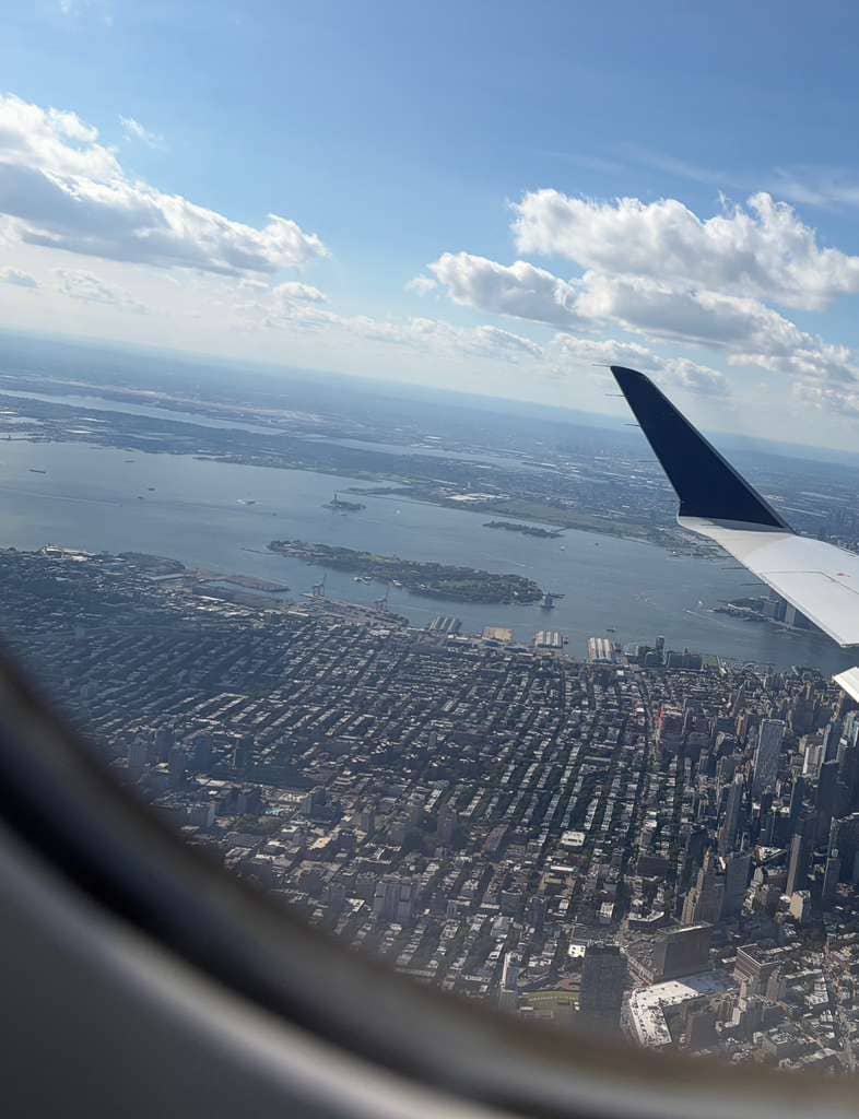View of Columbia Street Waterfront and Brooklyn Marine Terminal from an airplane
