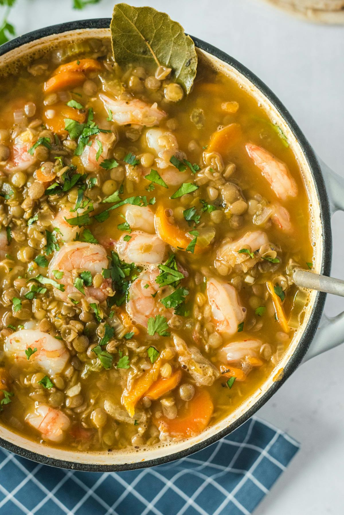 lentil stew