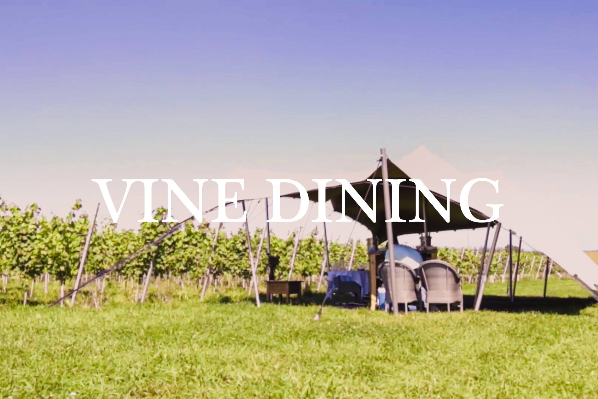 Vine Dining