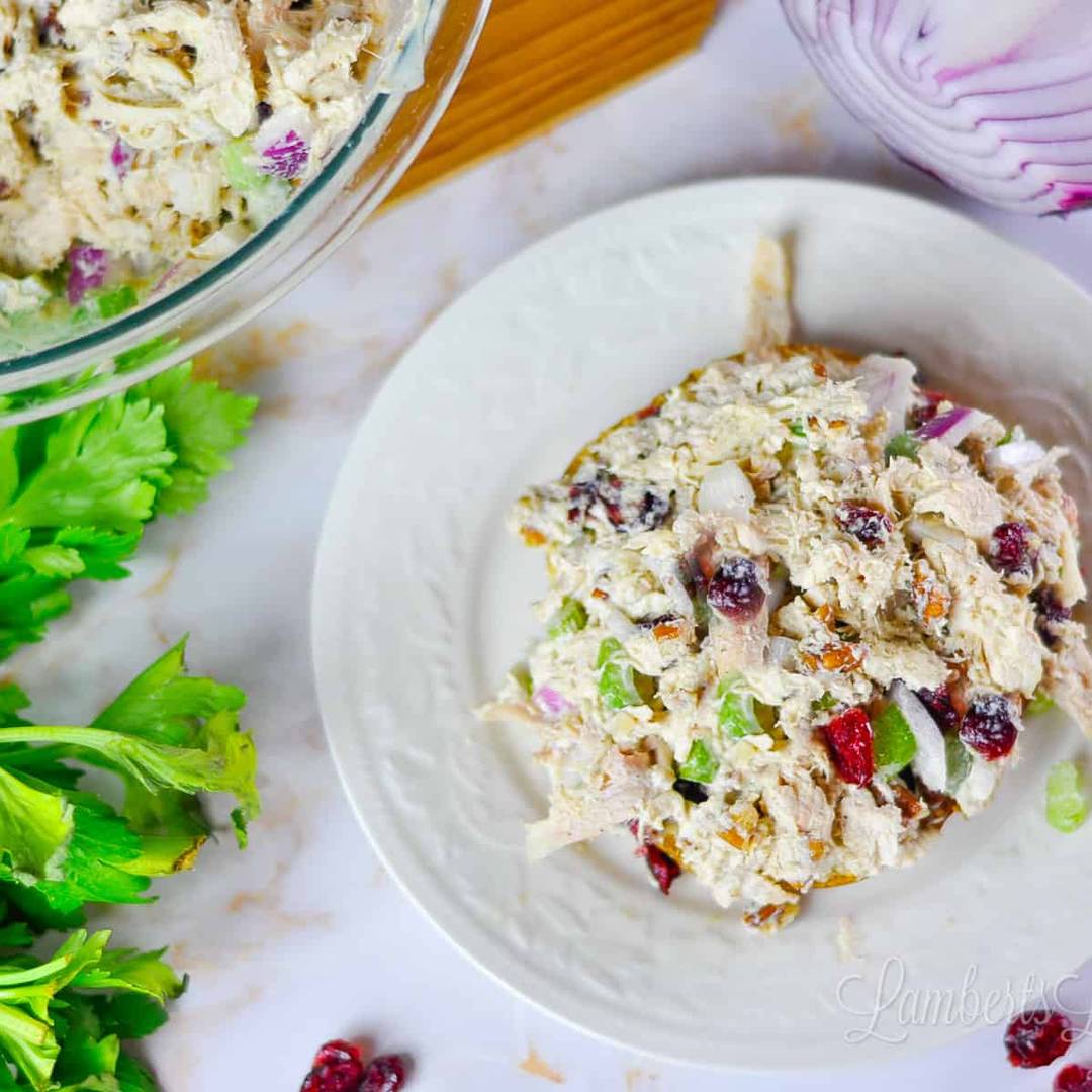 A top-down view of a creamy chicken salad served on a white plate, mixed with visible pieces of celery, red onion, and dried cranberries, with fresh celery stalks nearby.