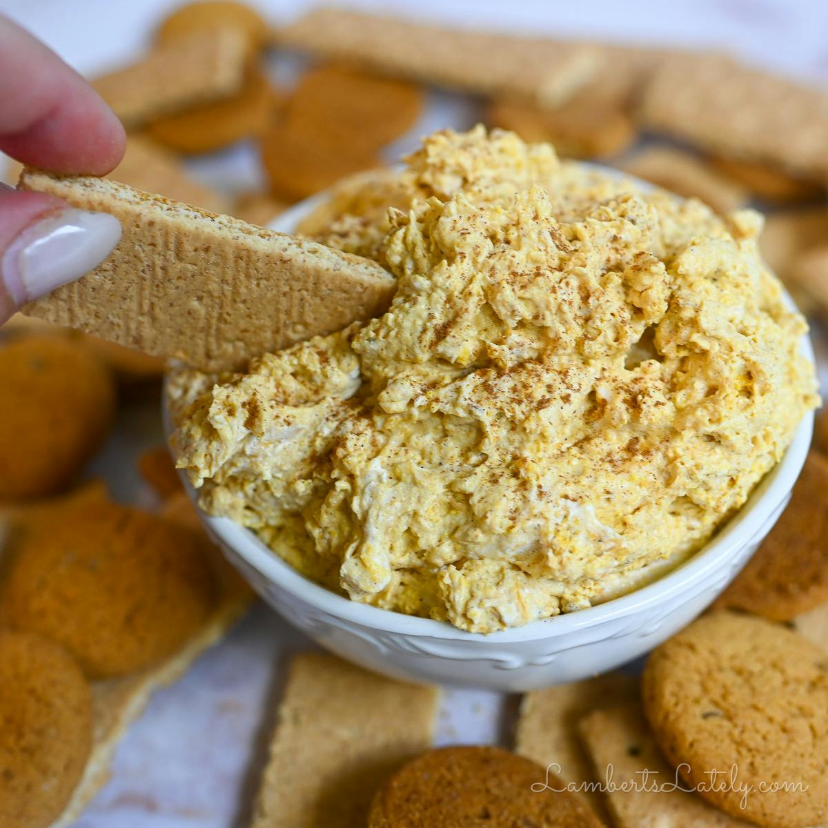 dipping a graham cracker into pumpkin fluff dip.