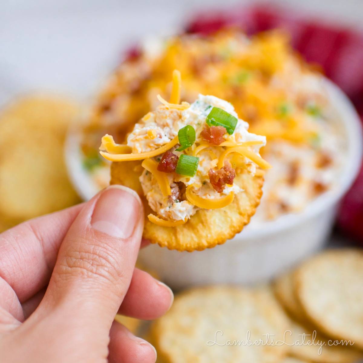 holding crack dip on a cracker.