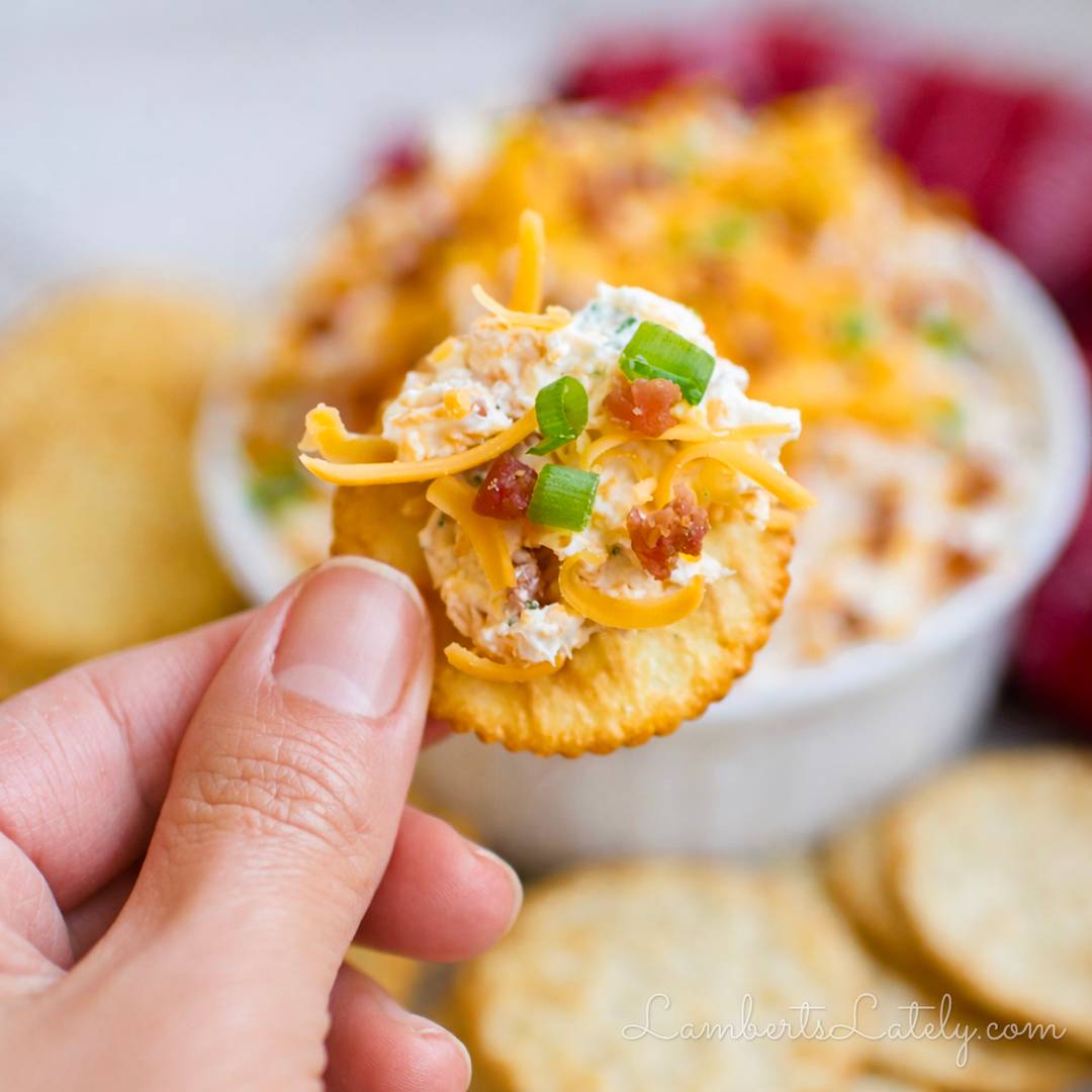 A hand holding a round buttery cracker topped with a creamy white dip, shredded cheddar cheese, bacon bits, and green onions, with a bowl of the dip in the blurred background.