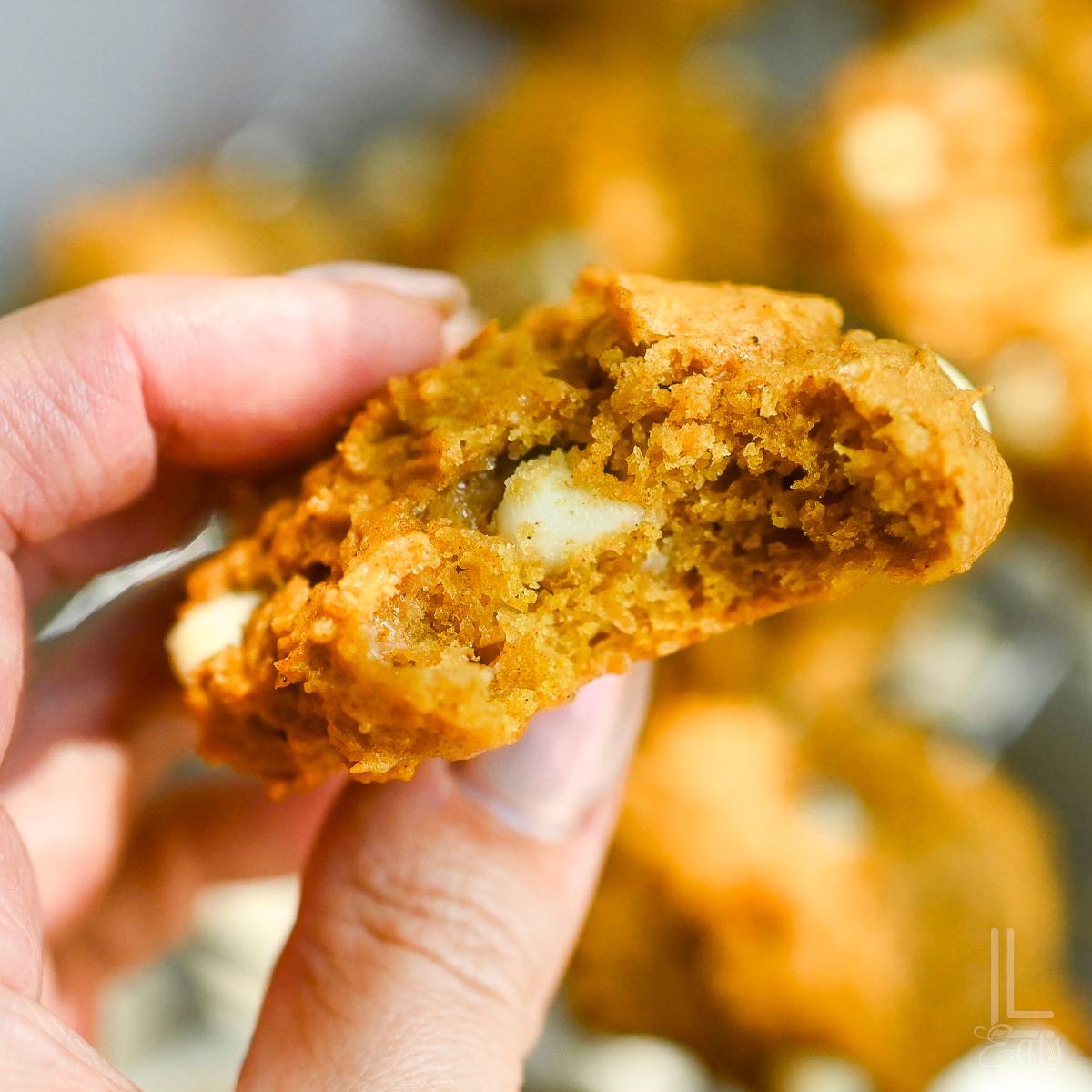 holding a pumpkin cookie with a bite taken out.