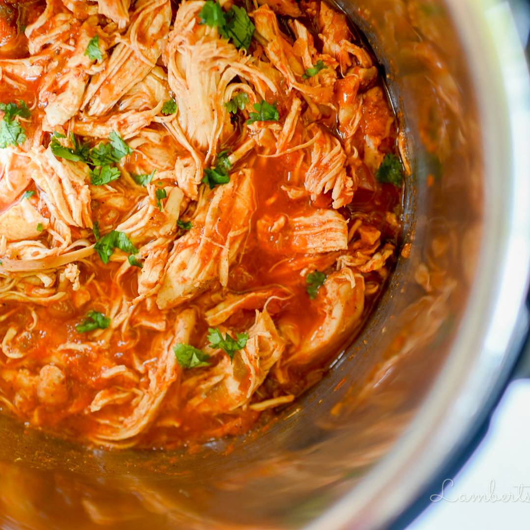 salsa chicken, pulled apart, in an instant pot.