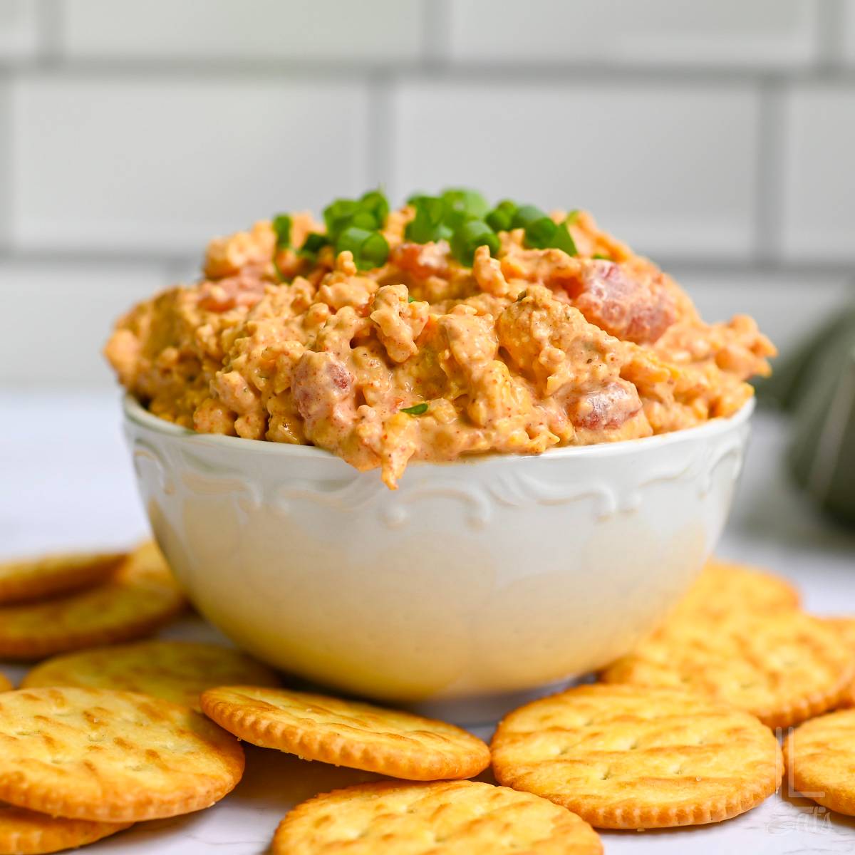 boat dip garnished with green onions in a bowl, surrounded by crackers.