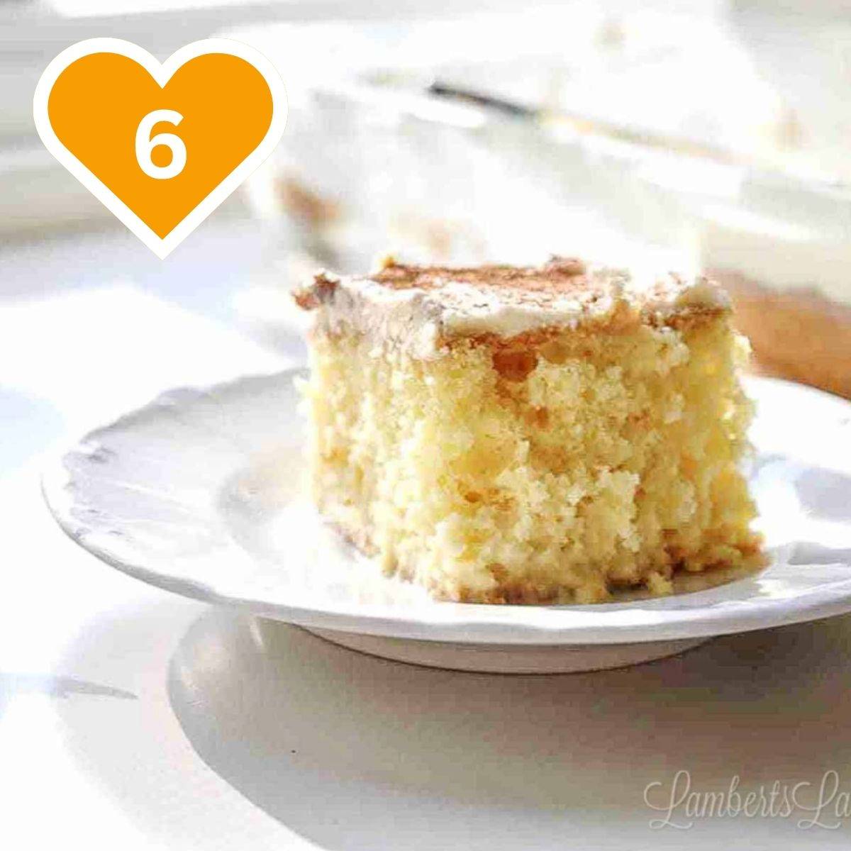 Slice of moist tres leches cake topped with whipped cream and cinnamon on a white plate.