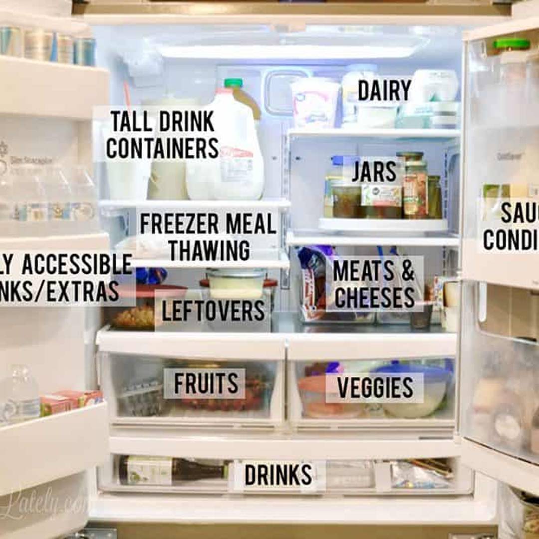 labeled refrigerator sections.