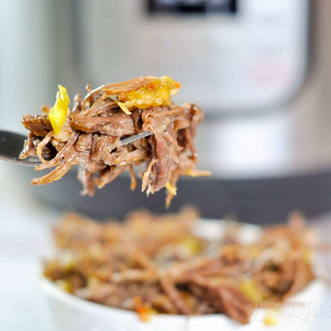 shredded beef and peppers on a fork.