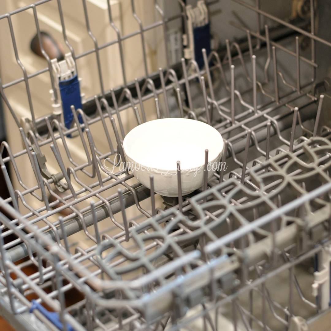 bowl in the middle of an empty dishwasher rack.