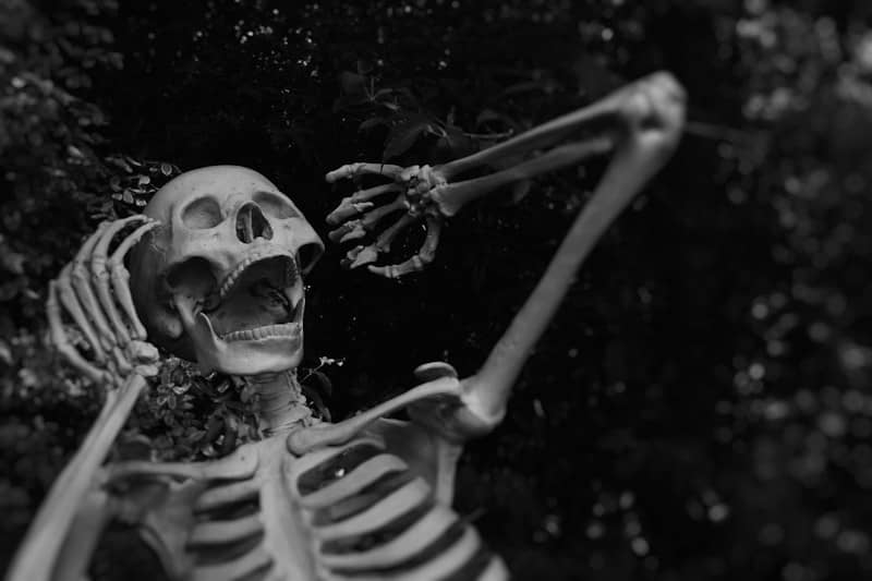 A human skeleton with an open jaw against dark foliage