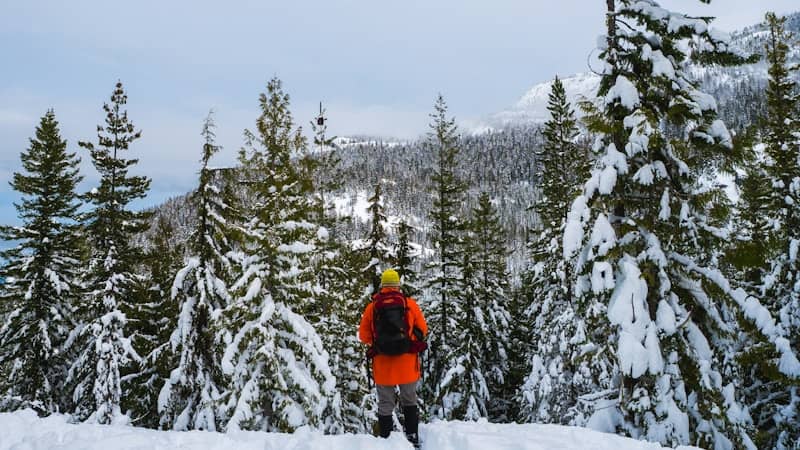 Person in orange jacket walks through snowy forest