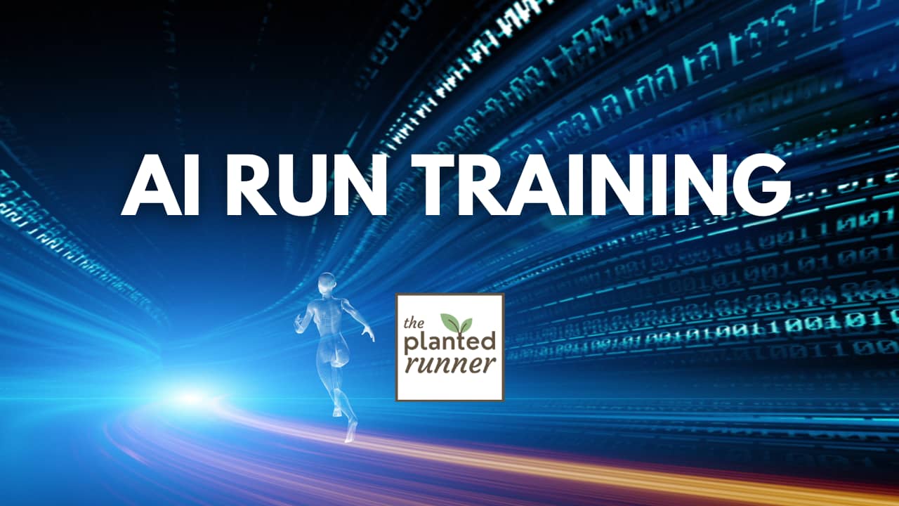 ai run training
