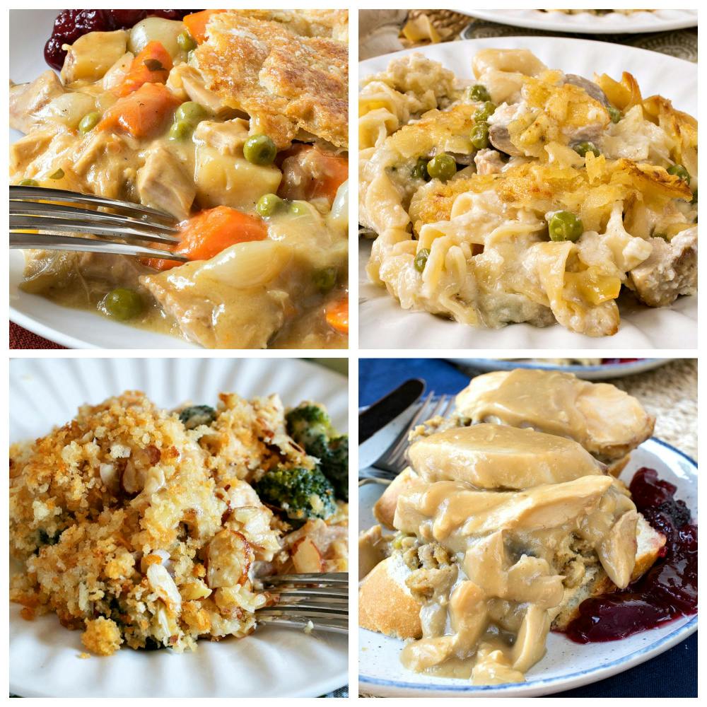 Thanksgiving Leftovers - Turkey