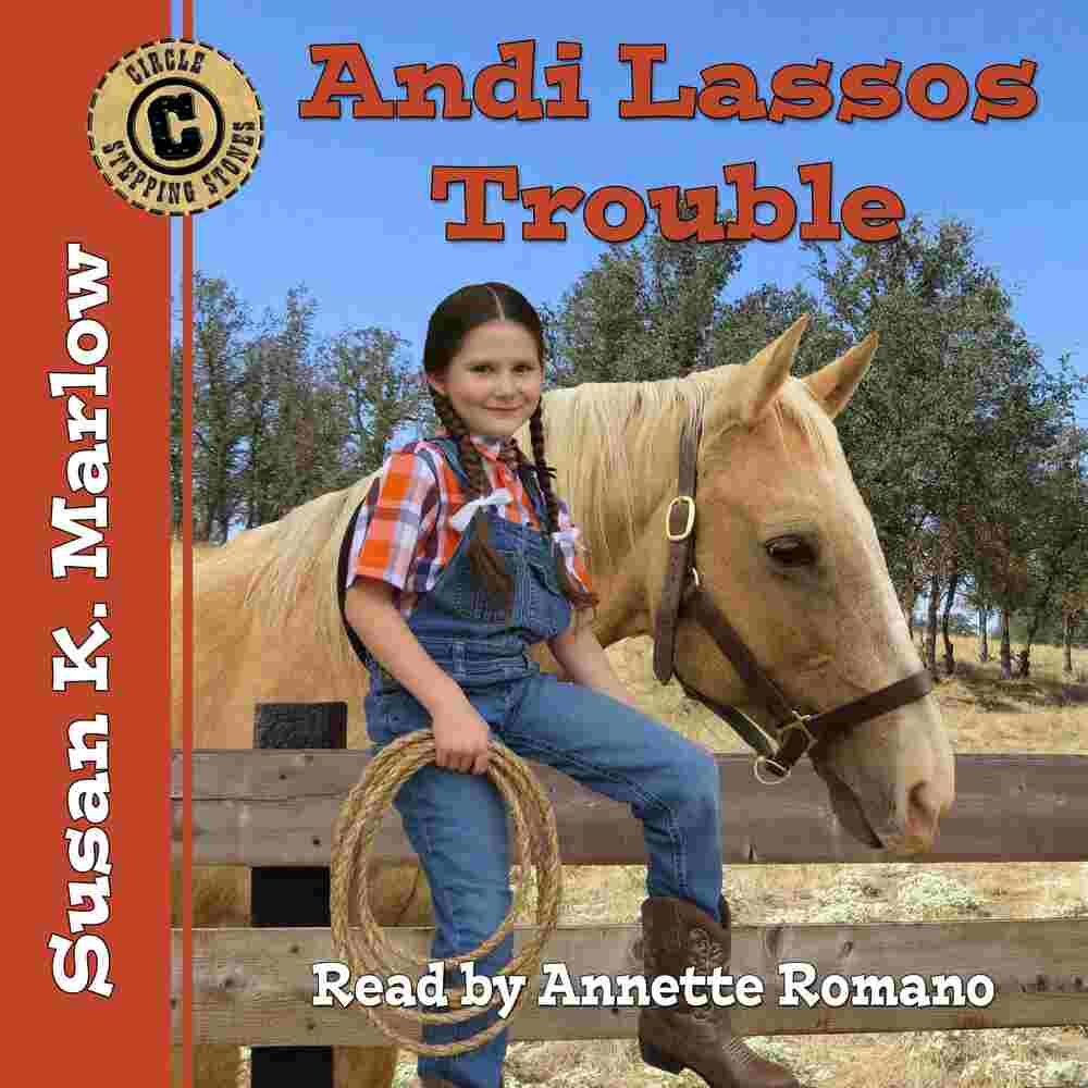 Andi Lassos Trouble Cover Image