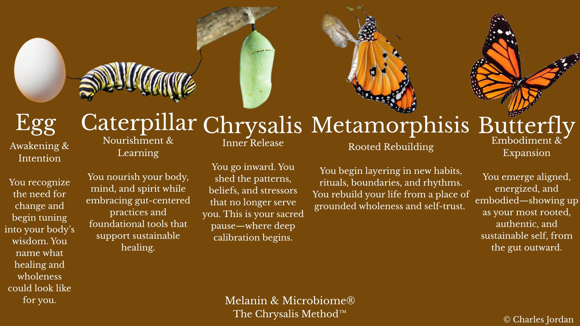 Shows each stage of The Chrysalis Method™