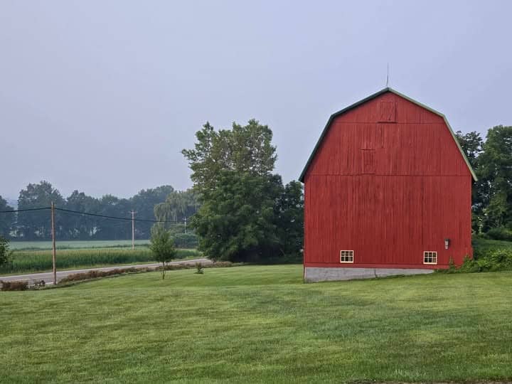 A grassy field with a red barn and trees