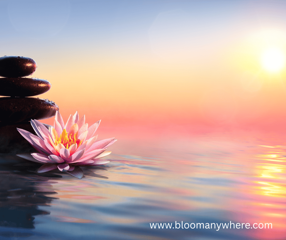 Beautiful rocks in water with a lotus flower