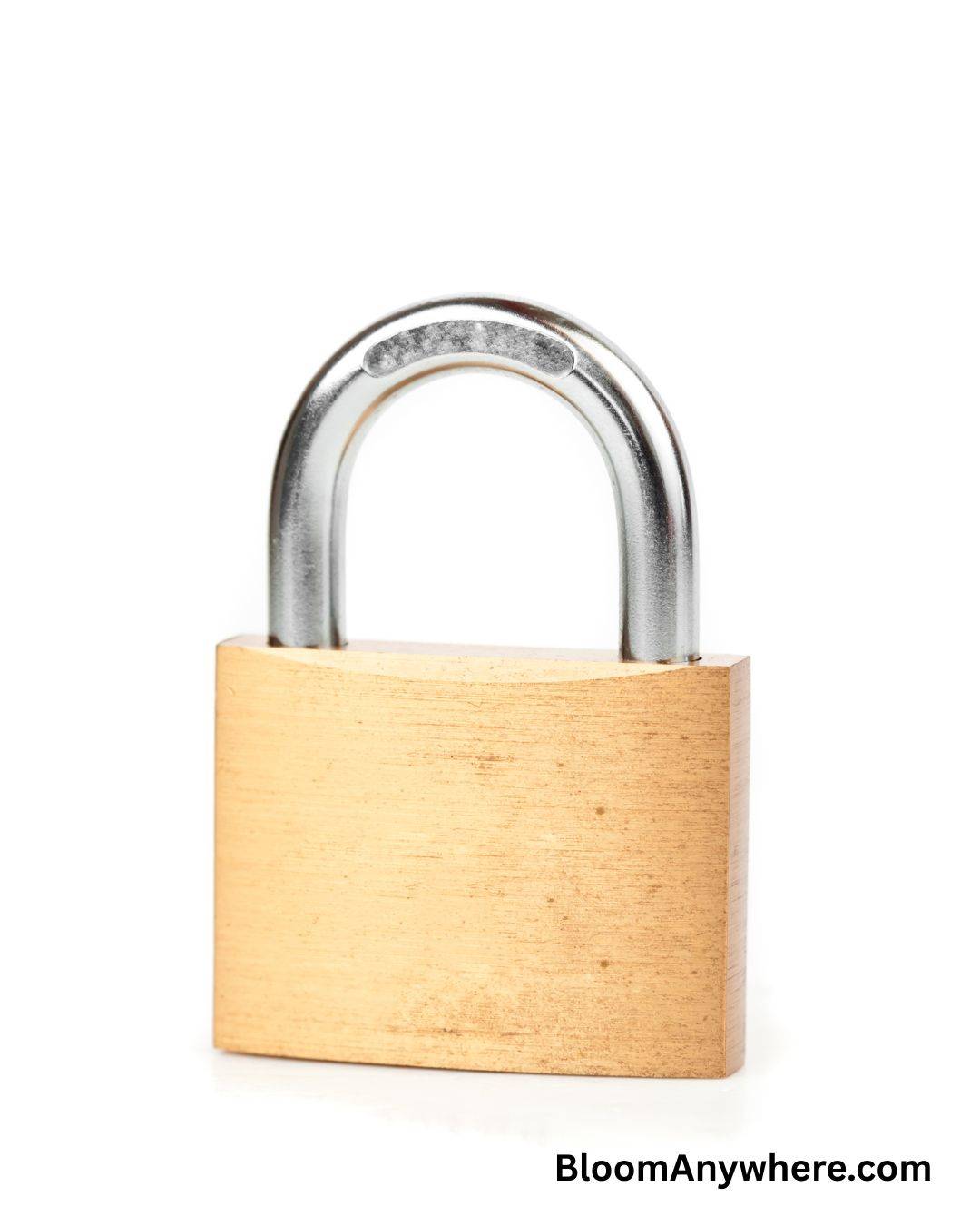 A silver and gold padlock against a white background