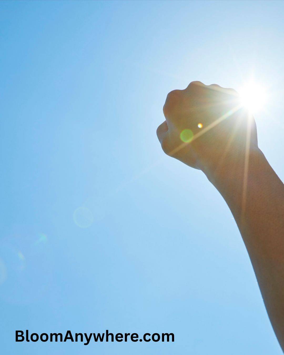A raised fist against a blue sky with sun in the background.