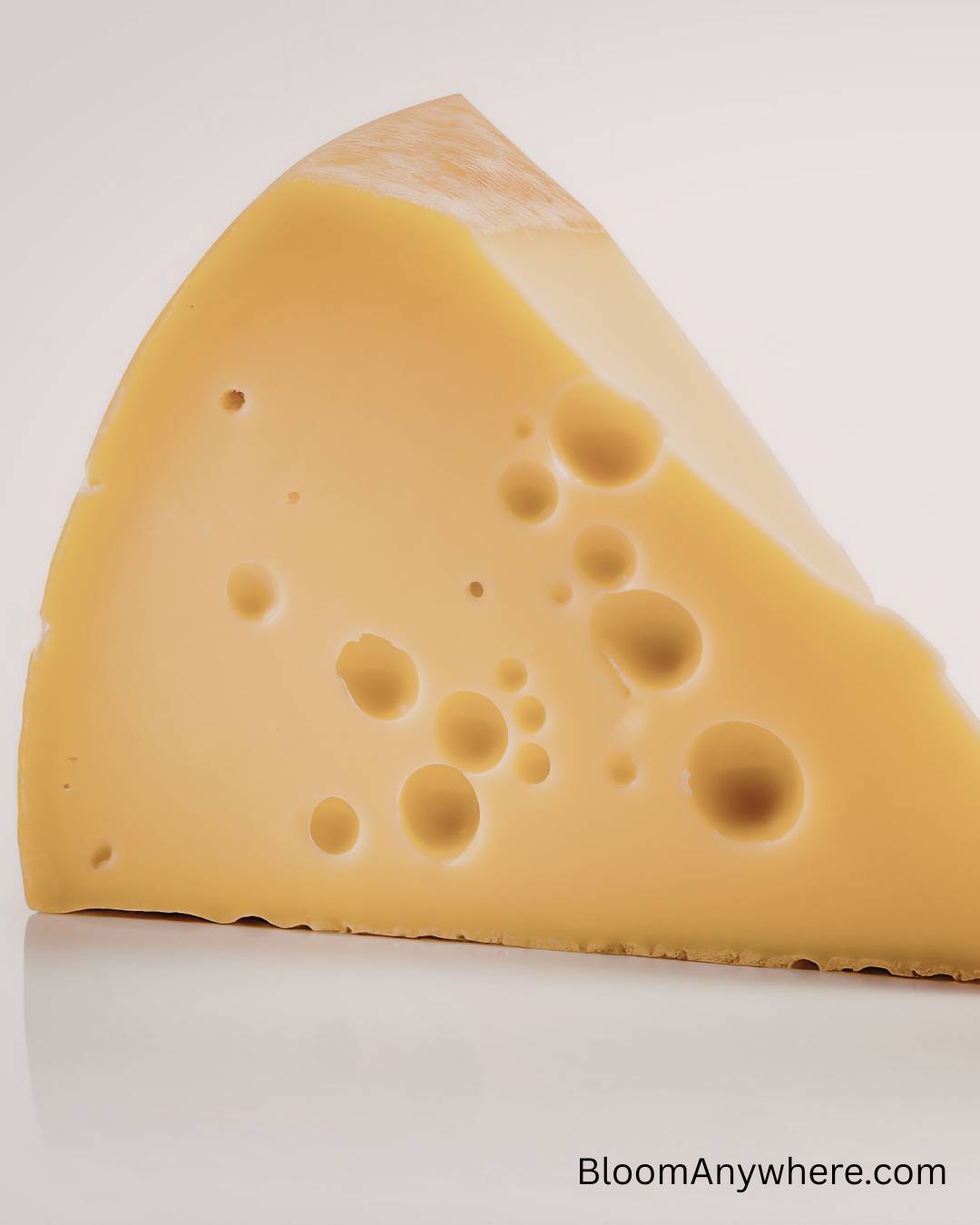 A wedge of Swiss cheese on its side. 