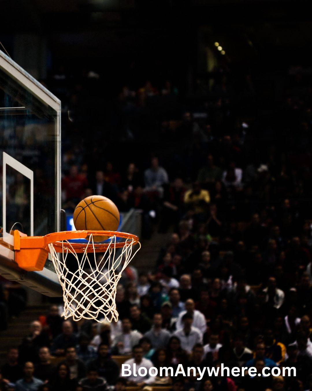 Photo of a basketball about to go through the net against the backdrop of an audience watching the game