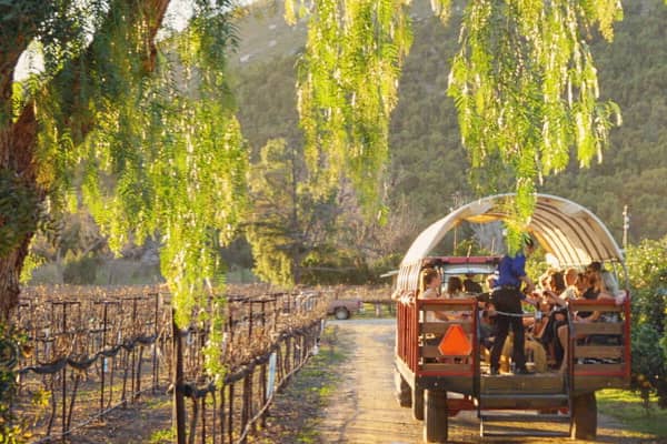 17 Outstanding San Diego-Area Wineries to Visit Right Now