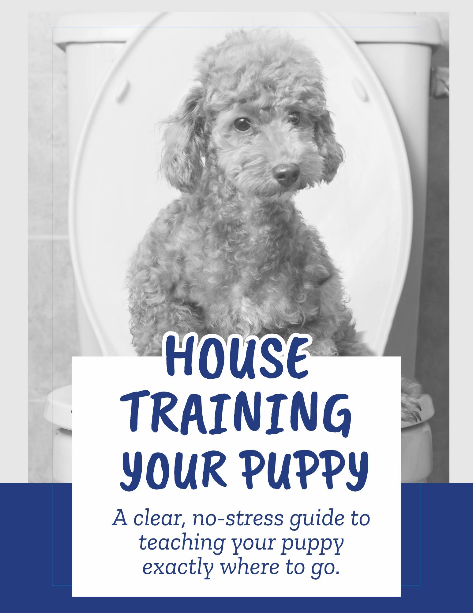 House Training Your Puppy
