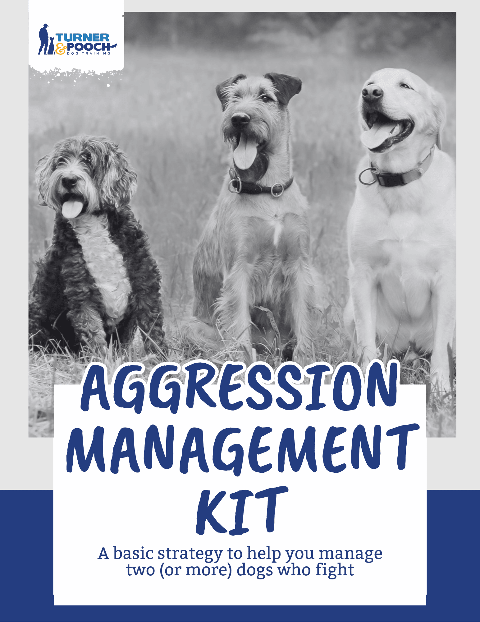Aggression Management Kit
