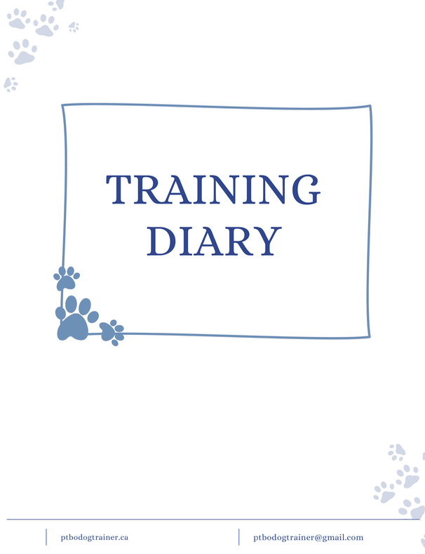 T&P Training Diary