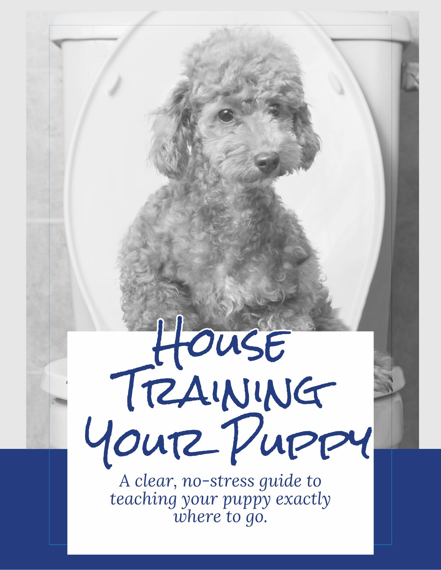 House Training Your Puppy