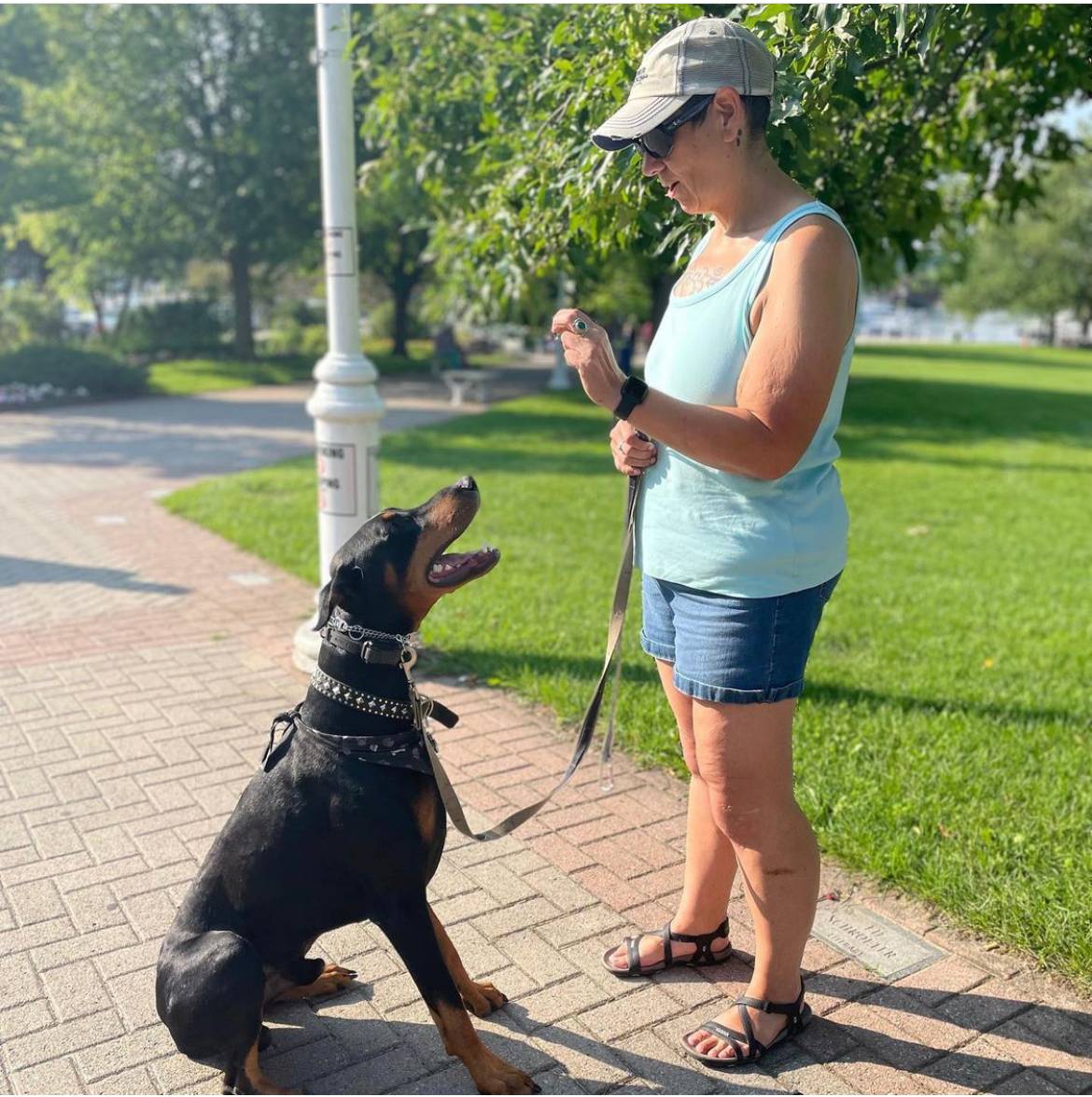 A woman in a blue tank top and shorts stands in a sunny park, holding a leash and engaging with a sitting Doberman wearing a studded collar and harness. The Doberman looks up at her attentively.