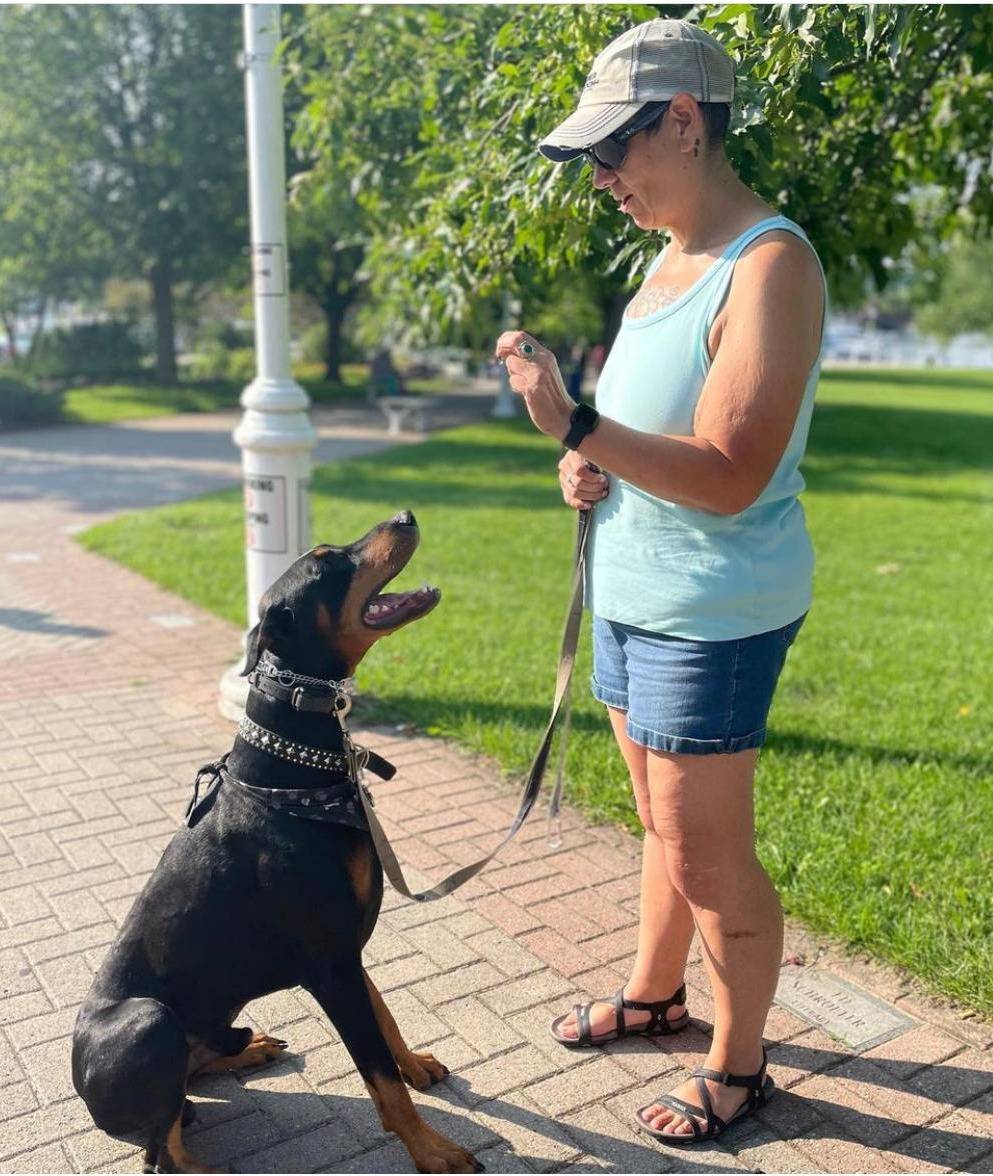 Behaviour Clarity Call With Turner & Pooch Dog Training