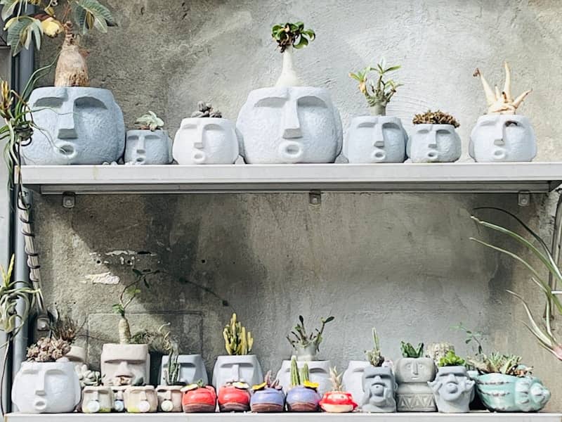 A shelf filled with vases and potted plants