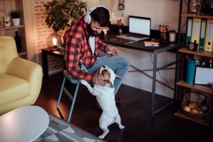 A remote worker's dog interrupts a zoom call