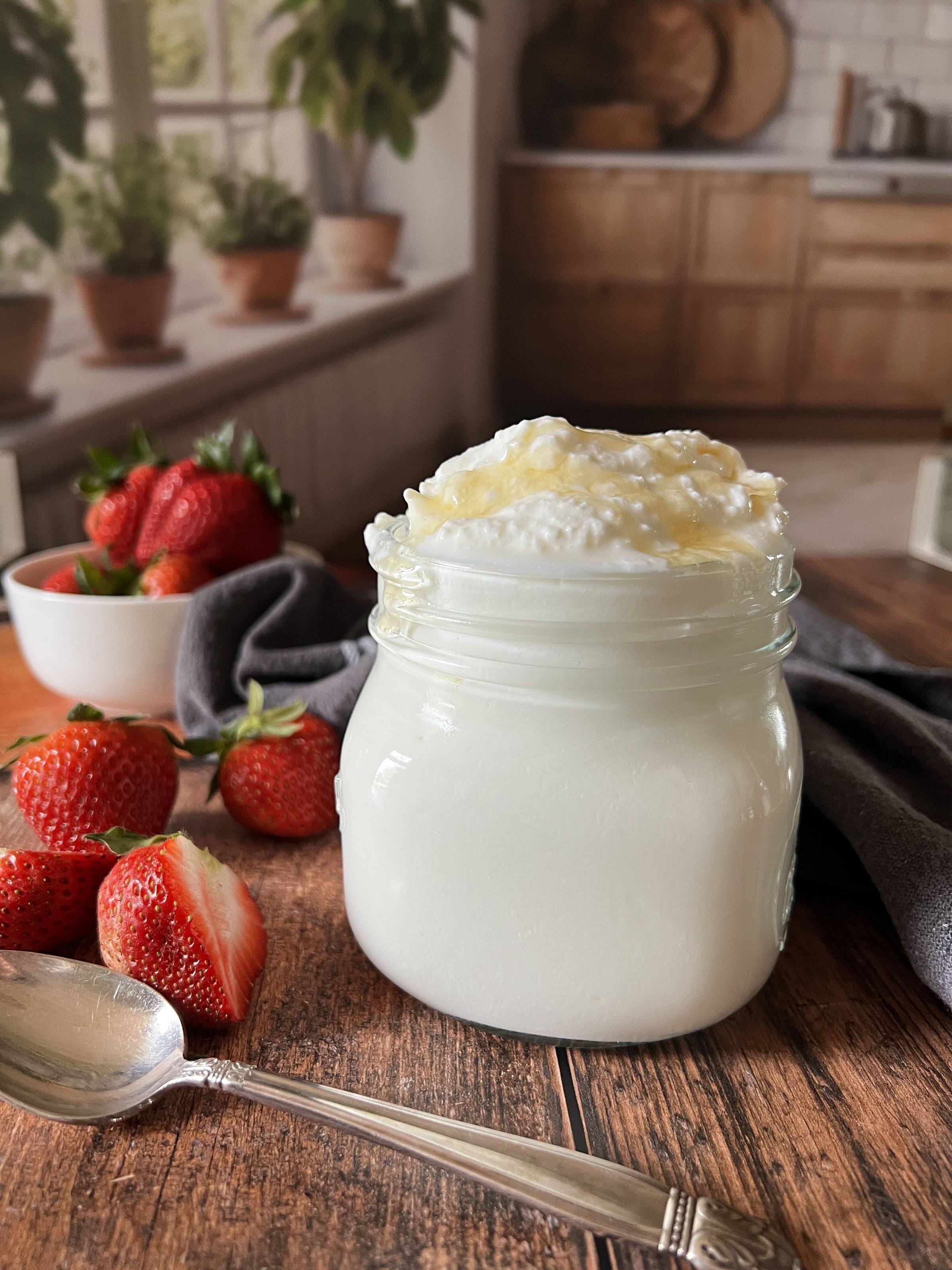 homemade yogurt in a mason jar on counter with strawberries