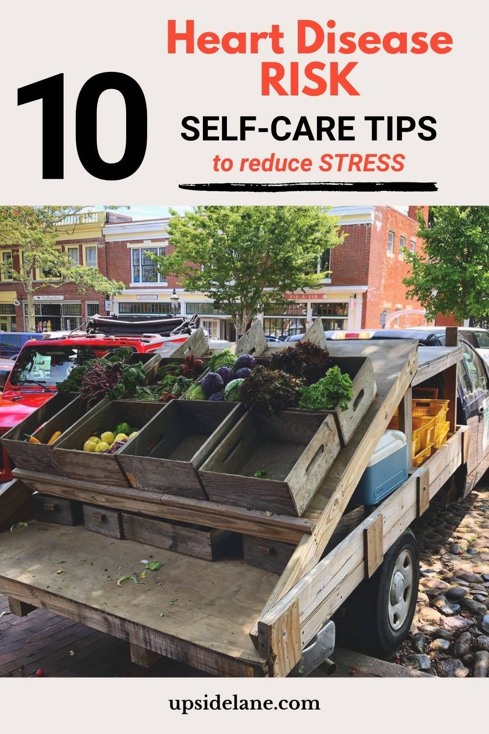 Heart disease risk ten self care tips to reduce stress.