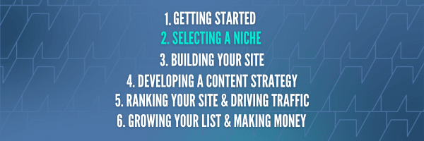 Lesson 2: Selecting a Niche