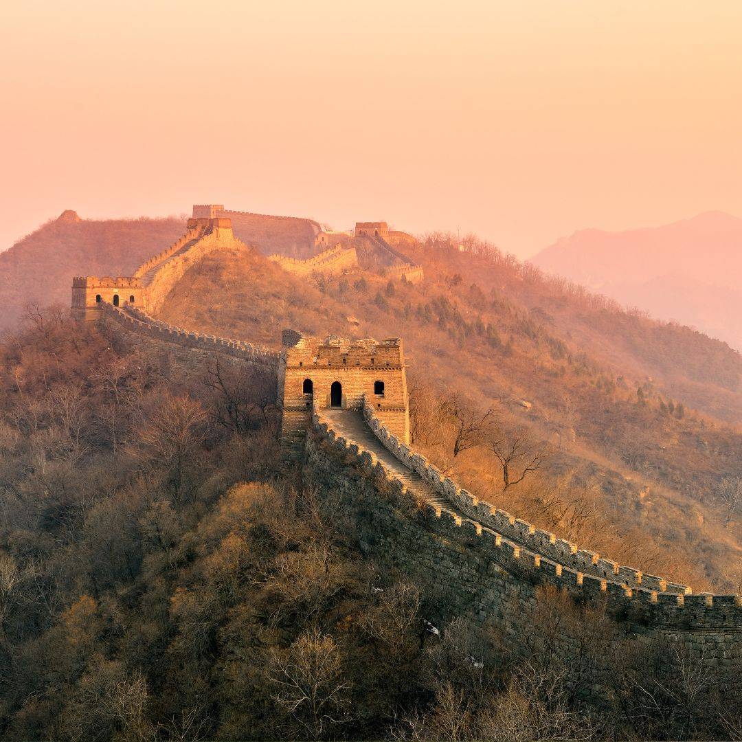 travel guide