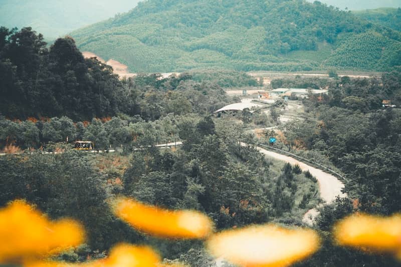 Winding road through lush green mountains and trees.