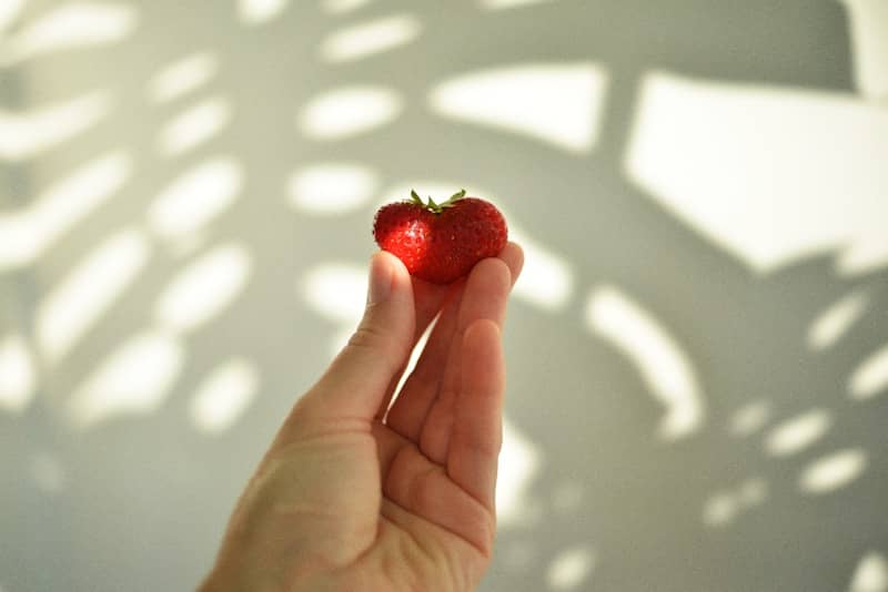 Hand holding a small red heart shape against a patterned background