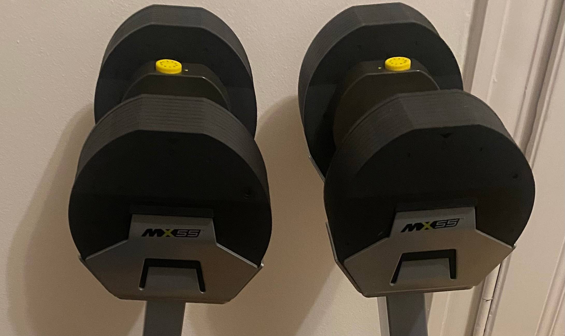 a pair of adjustable 35kg dumbbells