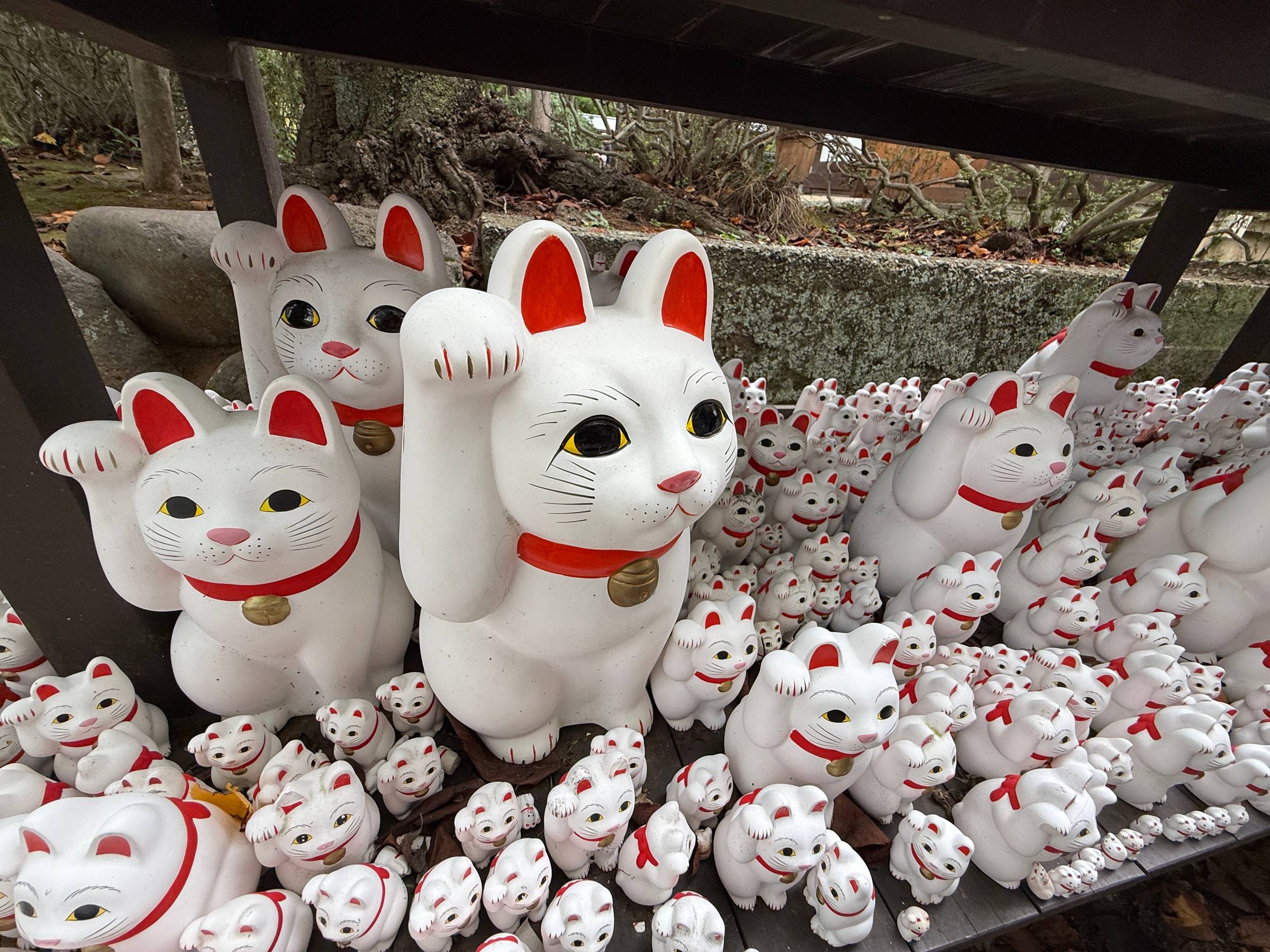 A photo of the maneki-neko at Gotokuji