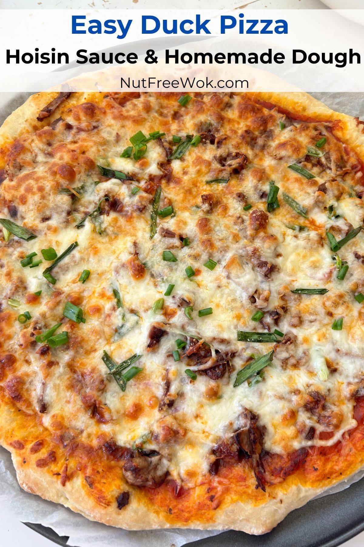 roast duck pizza with hoisin