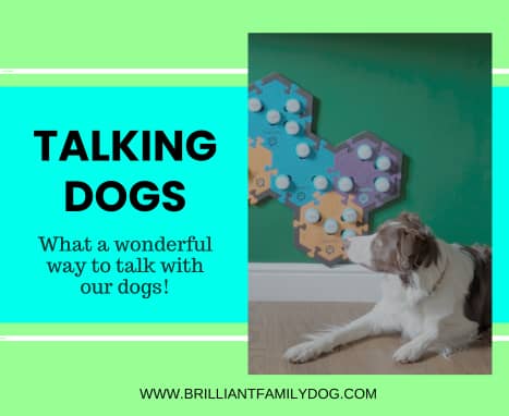 Does your dog talk to you?