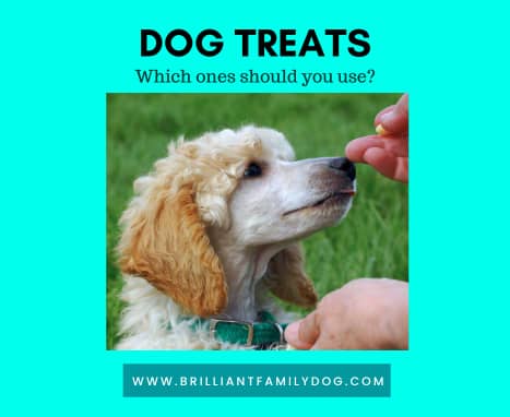 Dog treats - what gives best results?