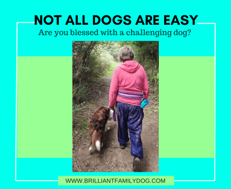 Not All dogs are easy