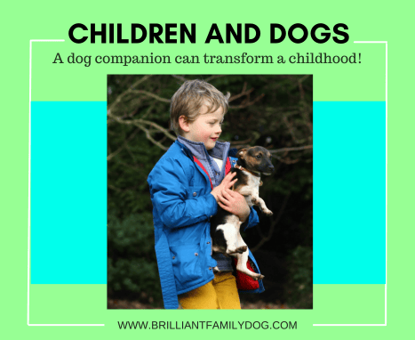 Are you building dog memories for your children?