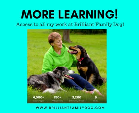  Exciting changes at Brilliant Family Dog!